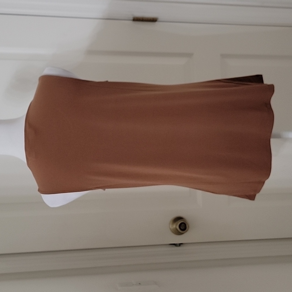 Susan Graver Size S Milky Chocolate Brown Stretchy Sleeveless Top / Tank, EUC - Picture 4 of 12